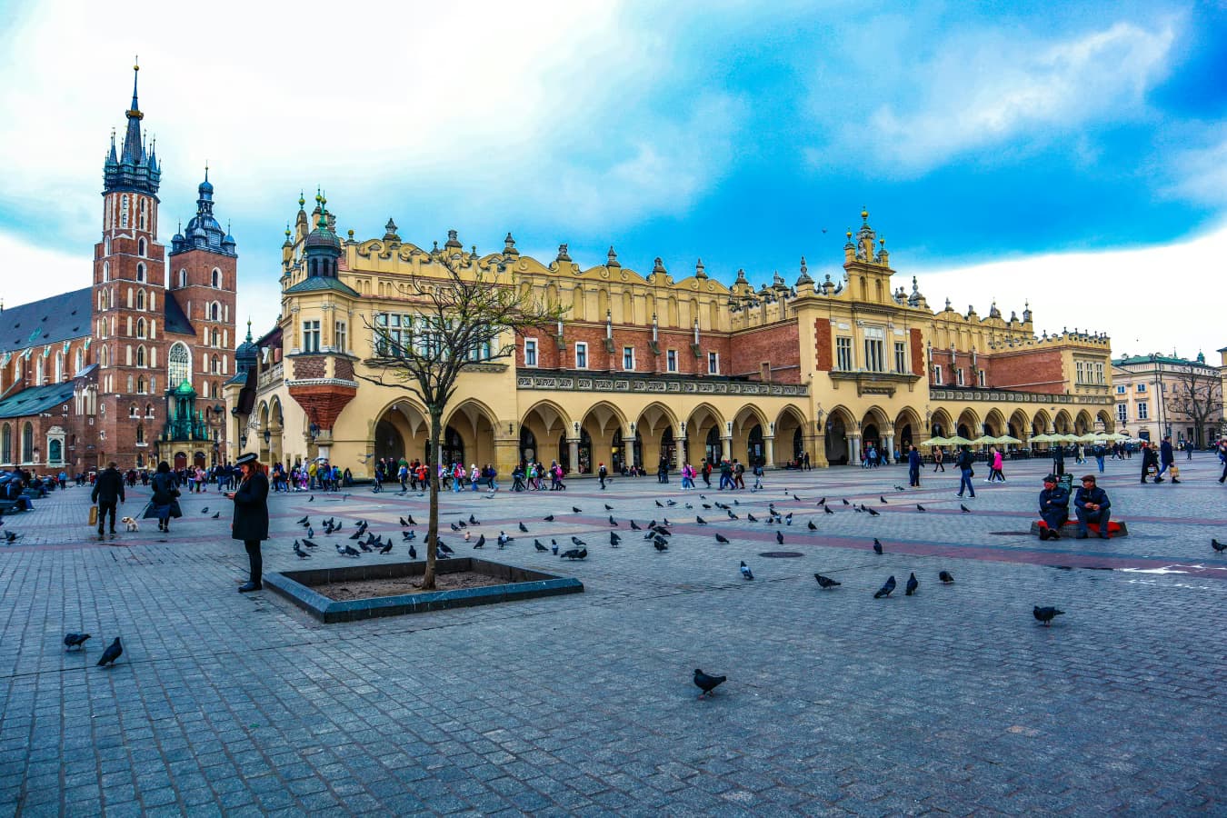 Walking tour route: Krakow Old Town Highlights Walk in Krakow