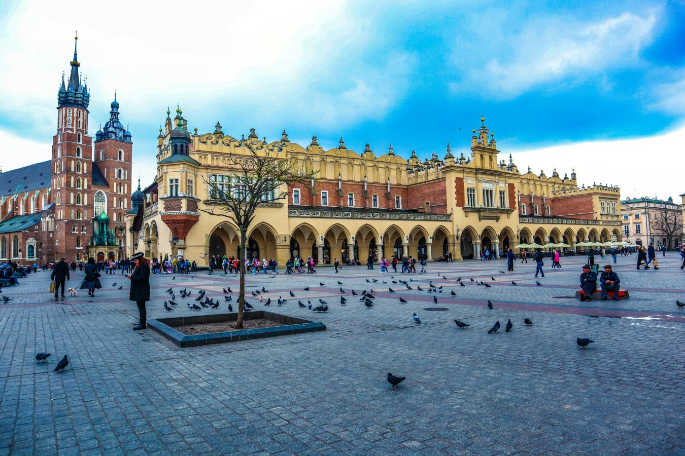 Krakow Old Town Highlights Walk